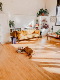 Hardwood Floors are perfect for any home, at any time of the year