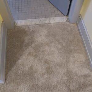 Residential_Carpet_Installation_5