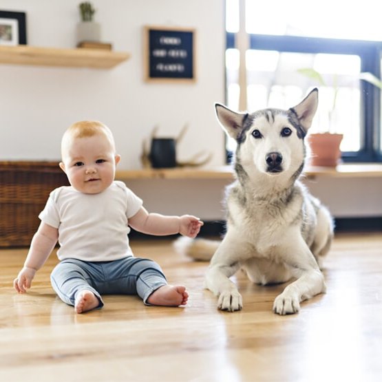 Three things to know about tongue and groove hardwood flooring