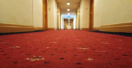 Red carpet flooring in a hallway