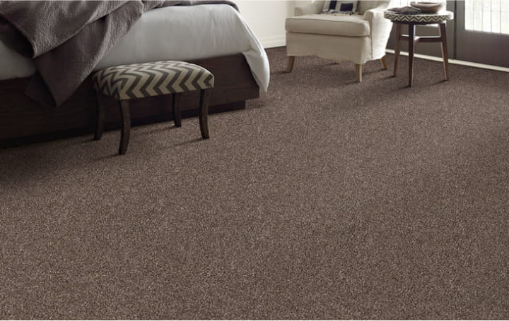 Image of carpet of your home fresh
