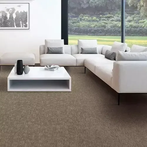 carpet